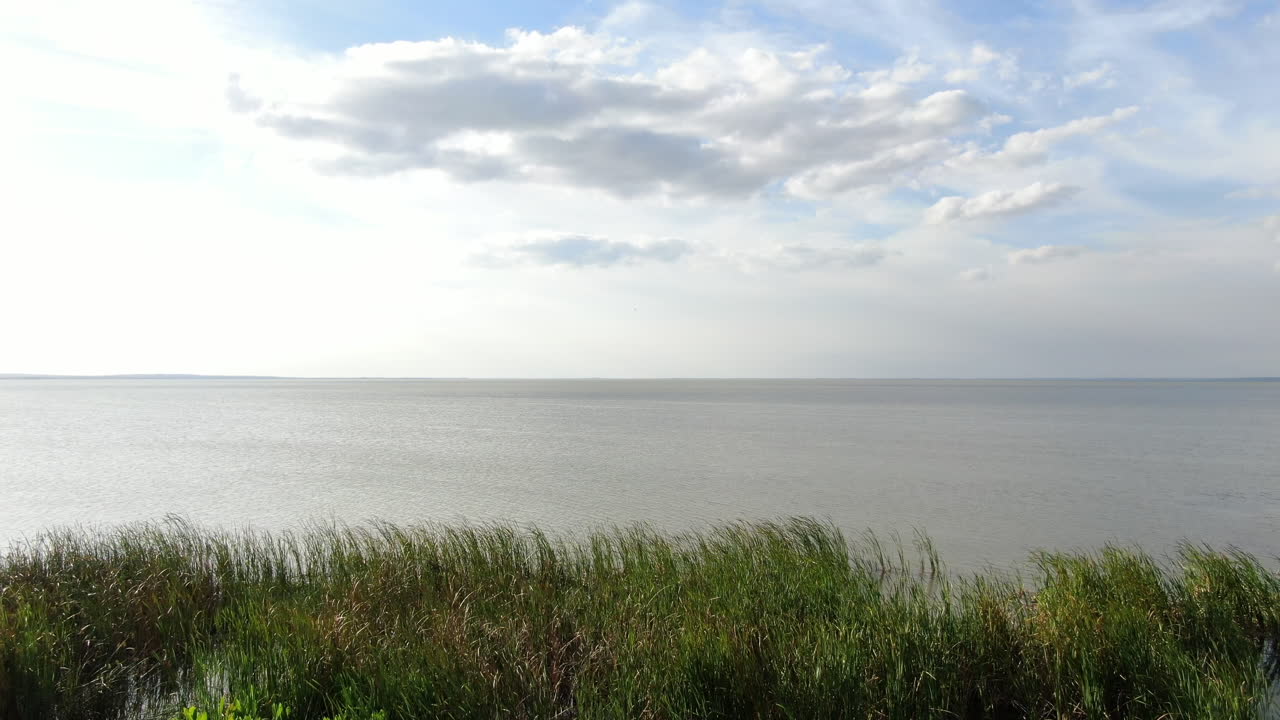 플로리다의 아름답고 화창한 봄 오후에 아포프카 호수 위로 날아갑니다.