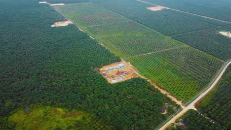 Cinematic-Drone-Shot-of-Onshore-Drilling-and-Workover-Rig-structure-and-Rig-equipment-for-oil-exploration-and-exploitation-in-the-middle-of-jungle-surrounded-by-palm-oil-trees-during-sunset-time