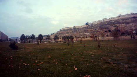lecho de flores con hierba verde y hojas amarillas caídas lejos vieja caverna de urfa casas pájaros por la noche