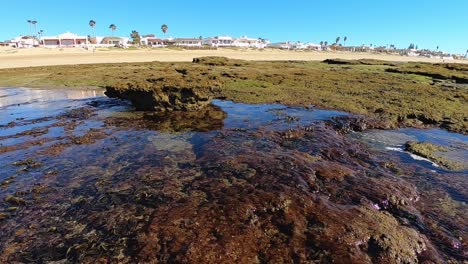 american enclave of private homes lines the beach along the mexican shore of the gulf of california