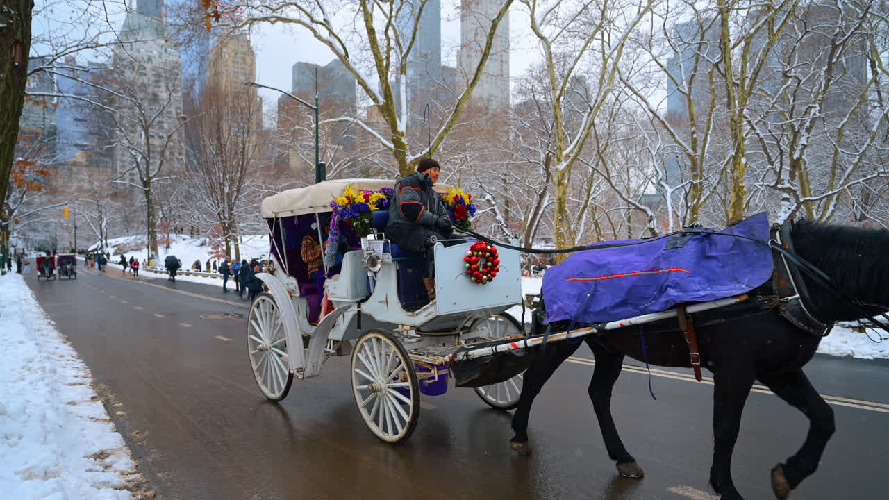 New York, USA, 11 febbraio 2026: Carrozza trainata da cavalli su strada innevata a Central Park. Tradizionale carrozza con cavalli che trasporta turisti lungo una strada innevata a Central Park, New York City.