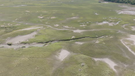 a winding creek slices through vibrant, layered marshland, revealing patches of exposed ground and dense brush in every direction