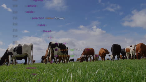 animación del procesamiento de datos sobre vacas en el campo