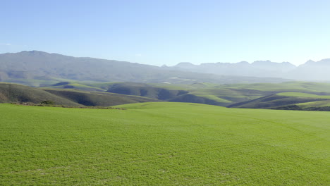 green rolling hills and fields