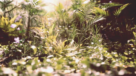 lush greenery carpeted with ferns and wildflowers in a vibrant forest setting
