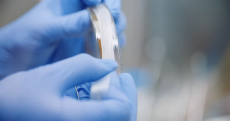 scientist taping petri dish at laboratory