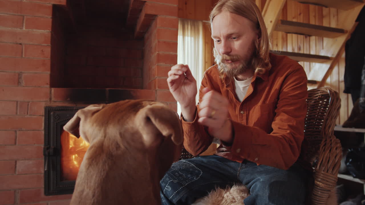 농장 의 벽난로 에 의해 개 를  ⁇ 는 사람