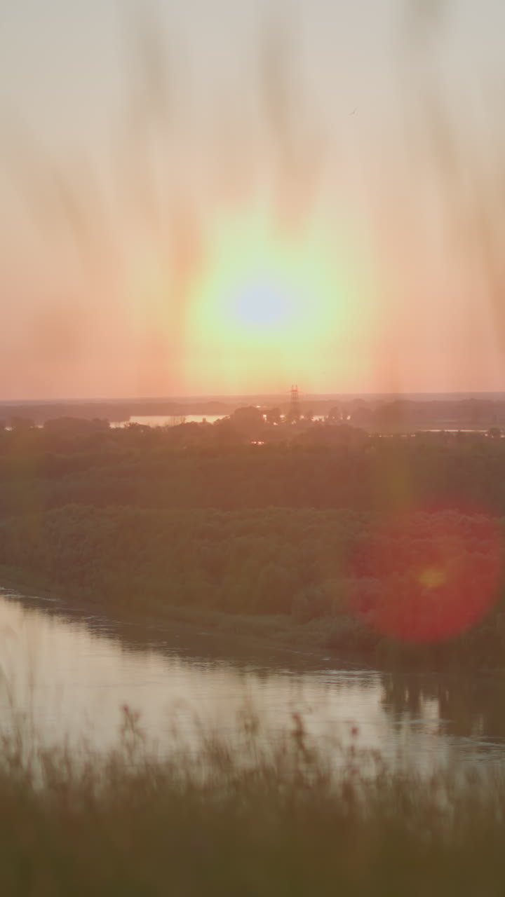 спокойная сцена спокойного озера, окруженного пышной зеленью, с высокими травами, мягко качающимися на переднем плане, когда солнце садится, бросая теплый, золотой свет по спокойному ландшафту.