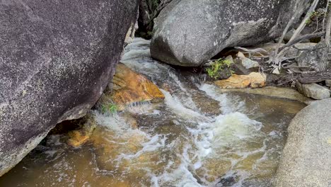 澳洲卡恩斯 (cairns) 的 emerald creek 瀑布 (emerald creek falls) 的岩石之間流動的水