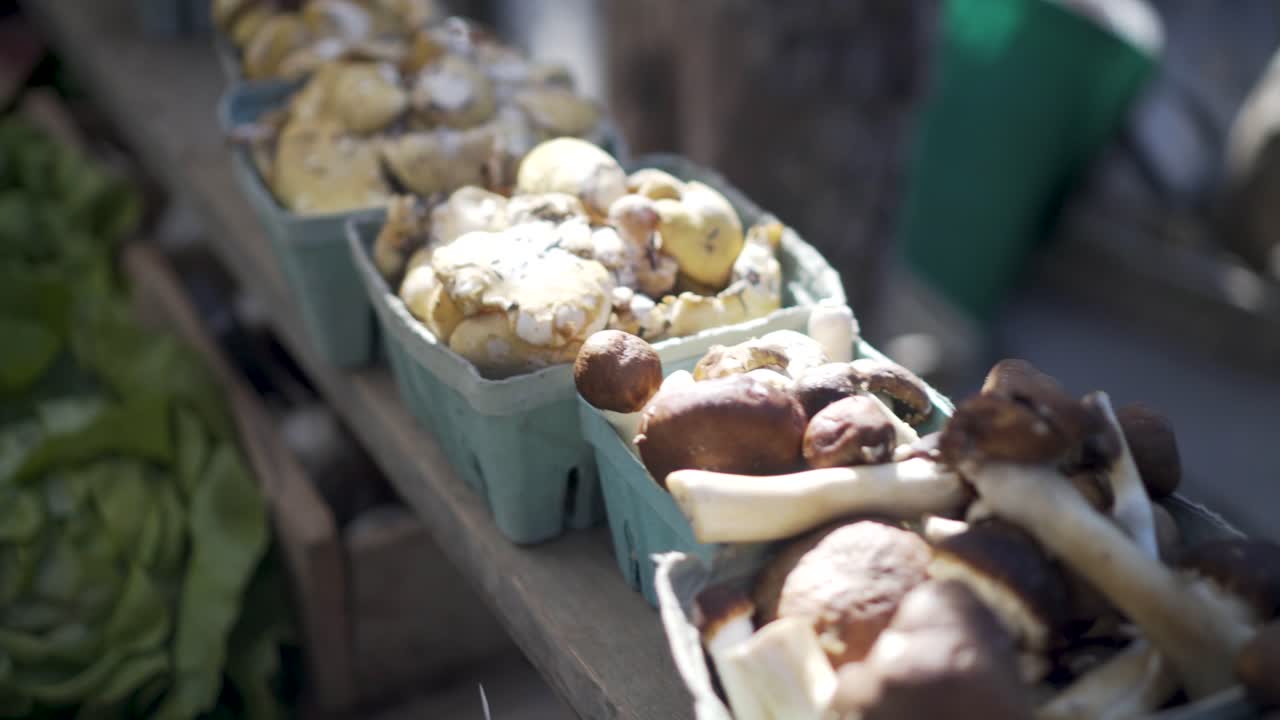 Fresh Mushrooms at the Market