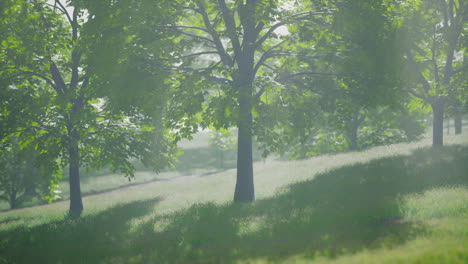 Malerische-Aussicht-Auf-Den-Park-Im-Zentrum-Der-Großstadt-Im-Sommer