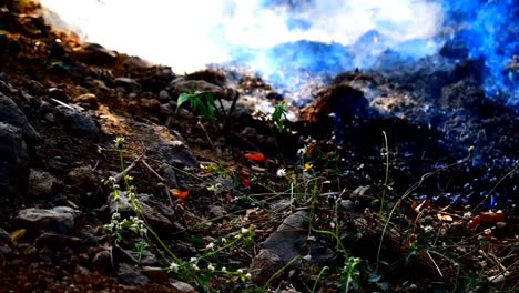 aerial view of smoking wildfire