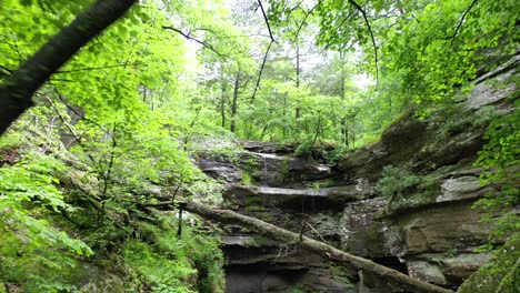 Small-water-stream-in-forestry-rocky-valley,-dolly-backward