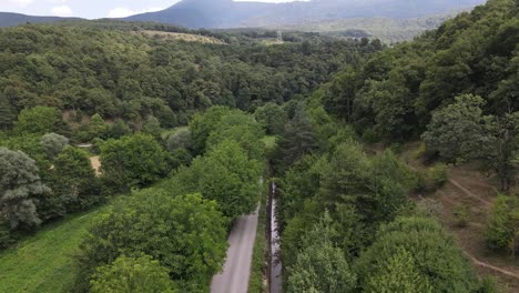 Asphaltstraße-Mit-Grünem-Wald-Auf-Beiden-Seiten-1