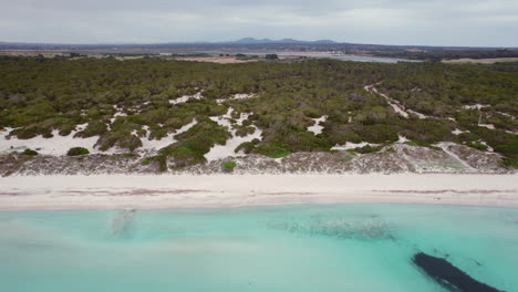 vegetación exuberante por playa del trenc, mallorca, españa aérea
