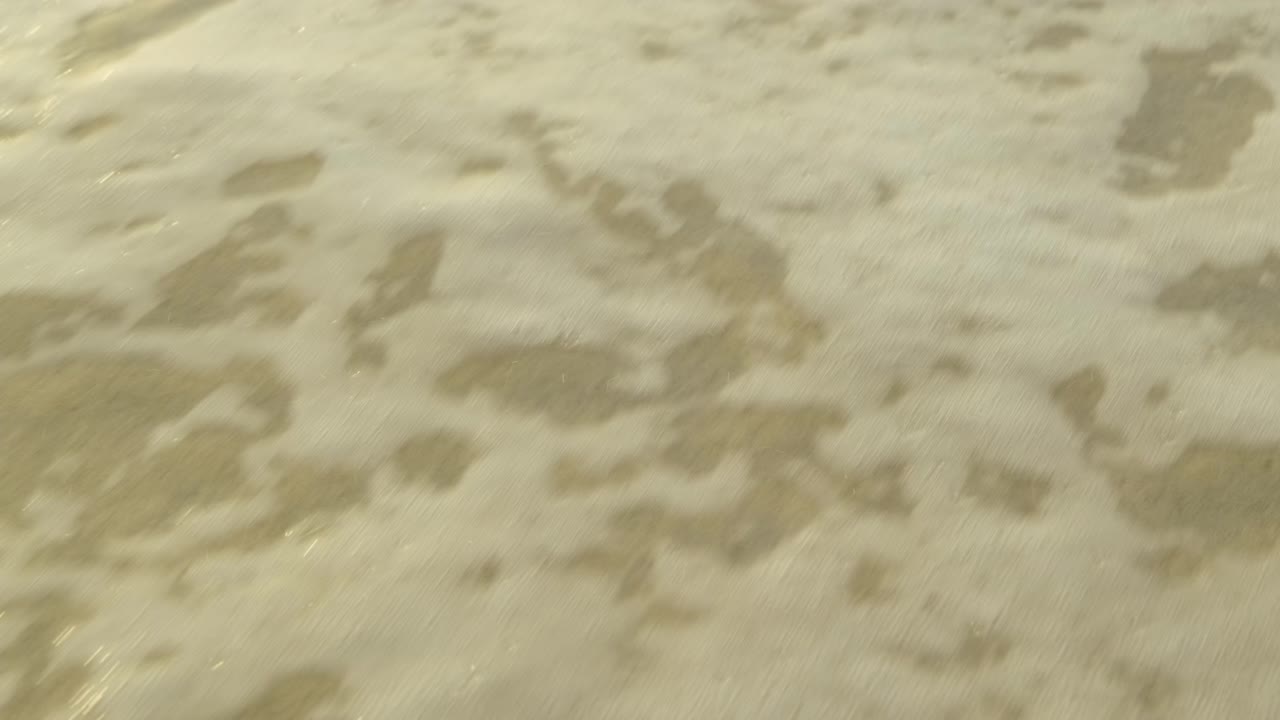 작은 해초 조각은 멕시코 해변의 황금빛 모래 위로 부서지는 파도에 의해 씻겨 나갑니다 - 영화 같은 장면