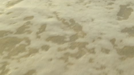 small piece of seaweed gets washed away by the breaking surf over golden sands on mexico beach - cinematic scene