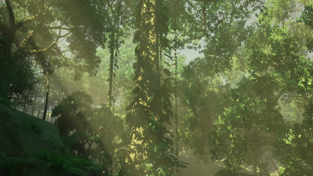 Lush green forest with rays of sunlight illuminating towering trees