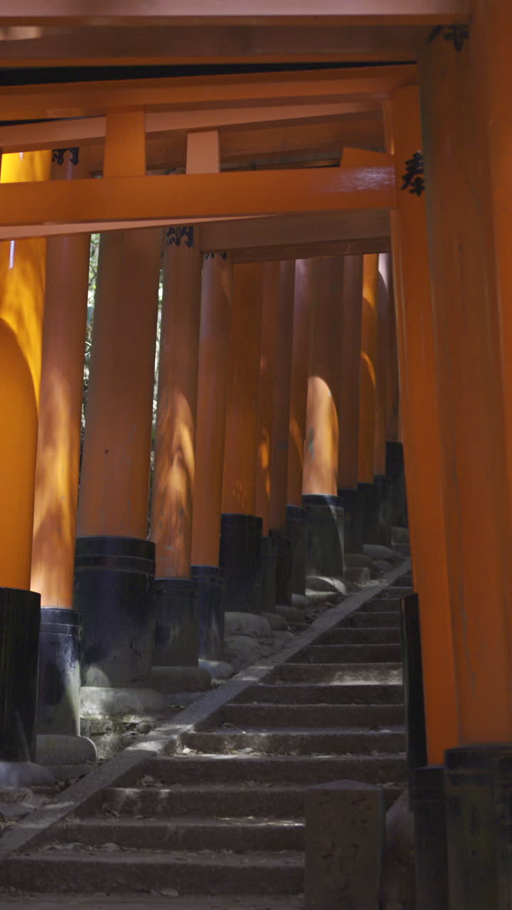 Moving through the iconic torii gates of Fushimi Inari in Kyoto, Japan