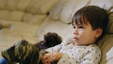 the kid applauds emotionally, saw something interesting on tv. his puppy sits next to him.