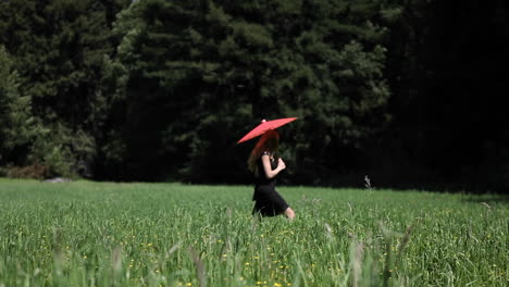 a woman with an umbrella walks through a field