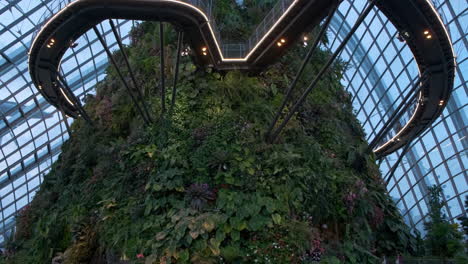 gardens by the bay cloud forest