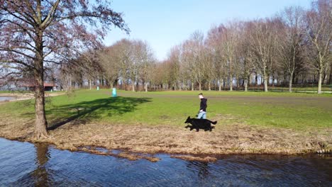 chico paseando a su perro por la orilla del lago en el parque de la ciudad