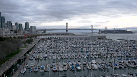 sailboats in a marina with a city skyline and bridge