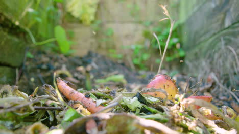 los residuos orgánicos caen en una pila de compost de colores mientras las moscas hacen un círculo de 60 fps.