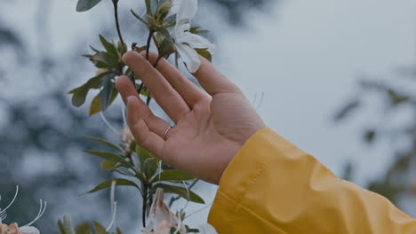 close up hand woman enjoying nature touching beautiful spring time flowers looking at natural beauty in garden park