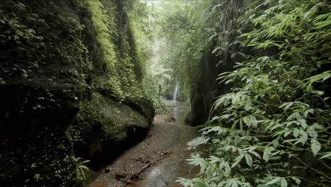 un cañón angosto con una cascada y una exuberante vegetación que crece en las paredes rocosas