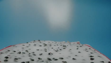 volando sobre una rodaja de fruta de dragón sobre un fondo azul