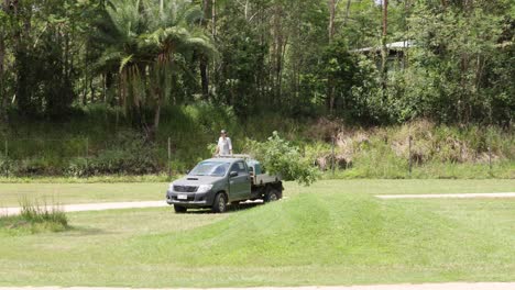 vehicle passes by, feeding giraffes in a park setting