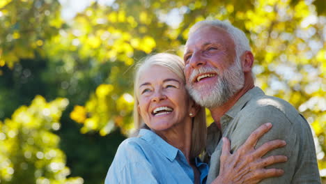 retrato de una pareja mayor amorosa de pie y abrazándose al aire libre en un parque de jardín o en el campo
