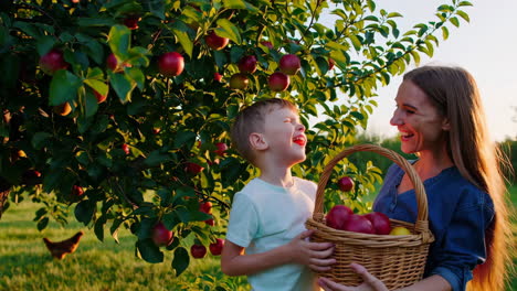 joyful apple picking in an orchard with mother and son
