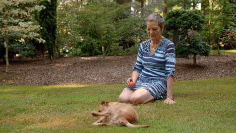 older woman watching cute small dog rolling in the grass, joy, fun