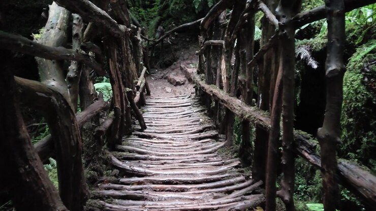 Visuale in prima persona mentre si cammina su un ponte di legno stretto e fatto a mano in un bosco antico e misterioso. Il muschio ricopre le rocce e i rami