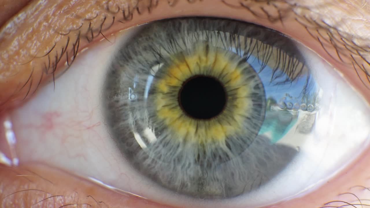 Vivid Close-up Of A Human Eye With Nature Reflection. Macro Shot