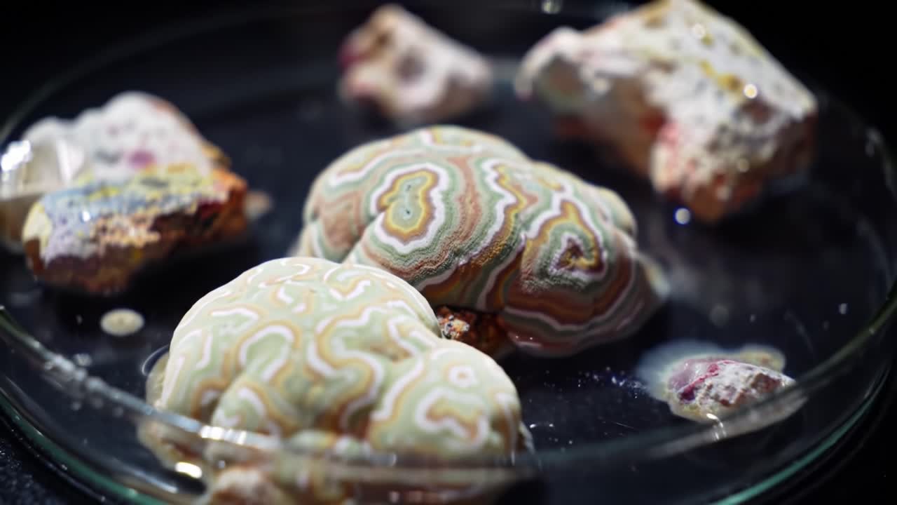 Exploring the Transformation of Solidified Ice to Colorful Rock Structures in a Petri Dish: A Visual Journey Through Physical Changes and Textures