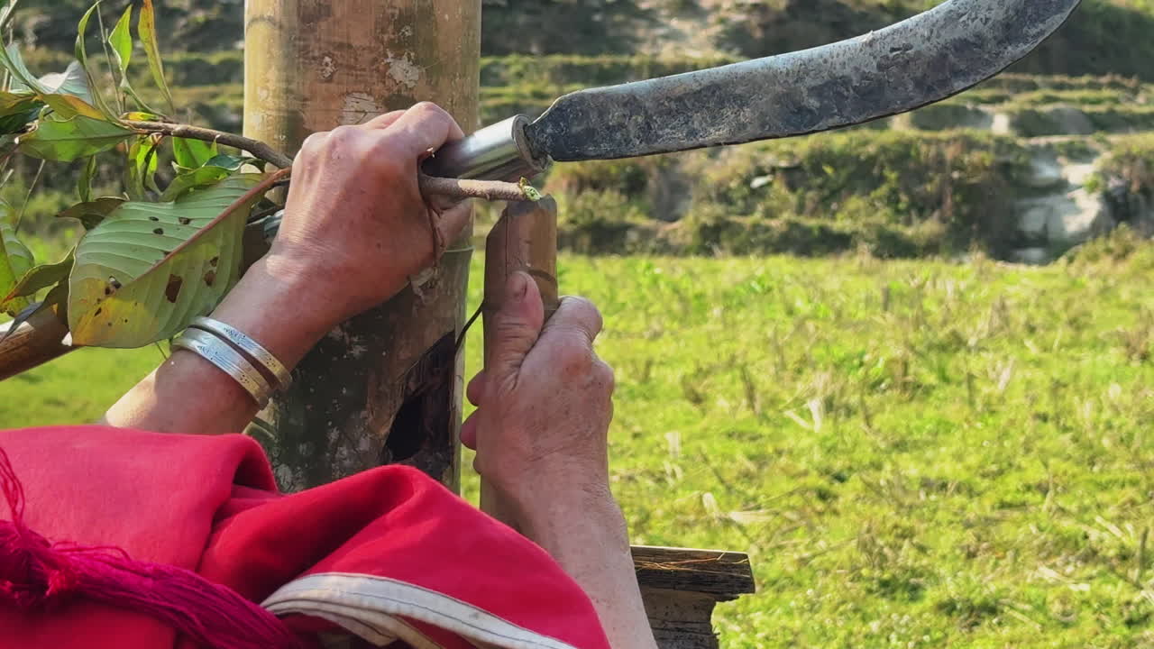 Close-up camera shot of rural farmer as he is working on fence during early sunny afternoon on plum blossom orchard. Shot on 4K.