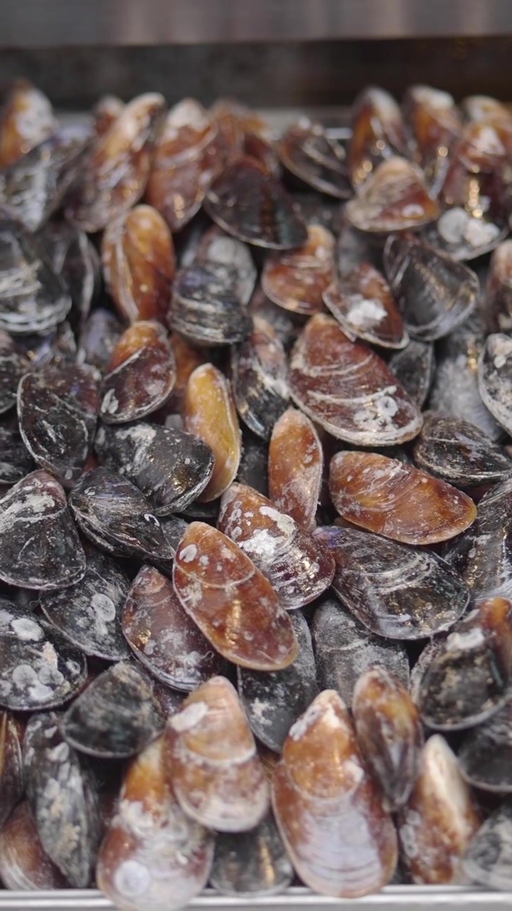 Close-up of Fresh Raw Mussels and Clams