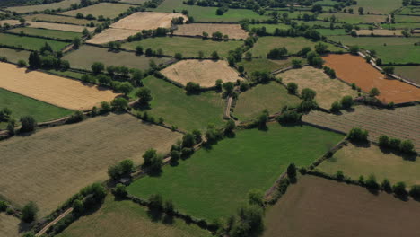 bocage mixed woodland and pasture aerial shot marvejols sunny day