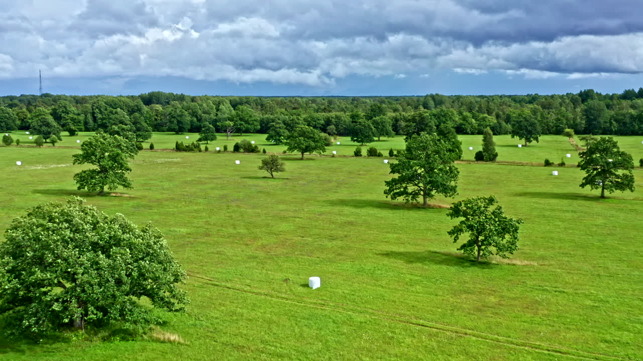 Wonderful Summer Day, Aerial Flyover Agriculture Field in Estonia - Dolly Shot and Boom Shot