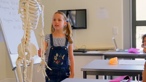 schoolgirl explaining human skeleton model in classroom 4k