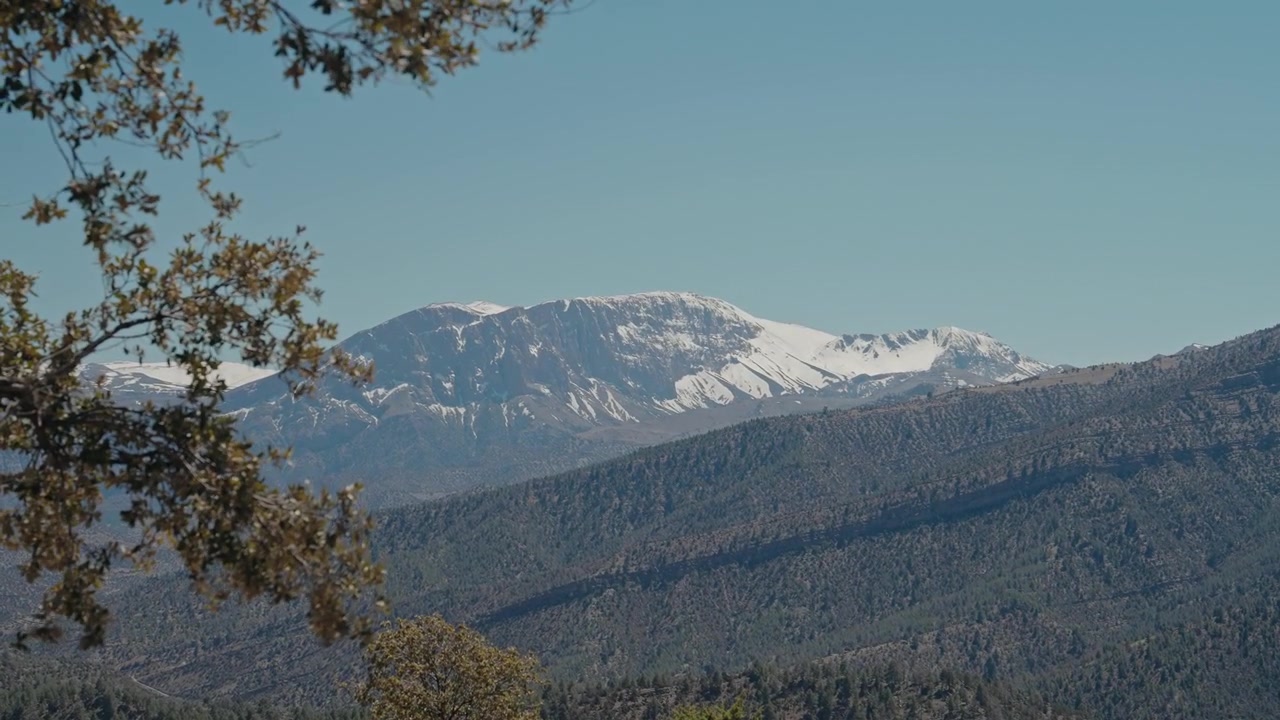 Cima montuosa innevata incorniciata da rami d'albero sopra pendii boscosi nell'Alto Atlante, Marocco