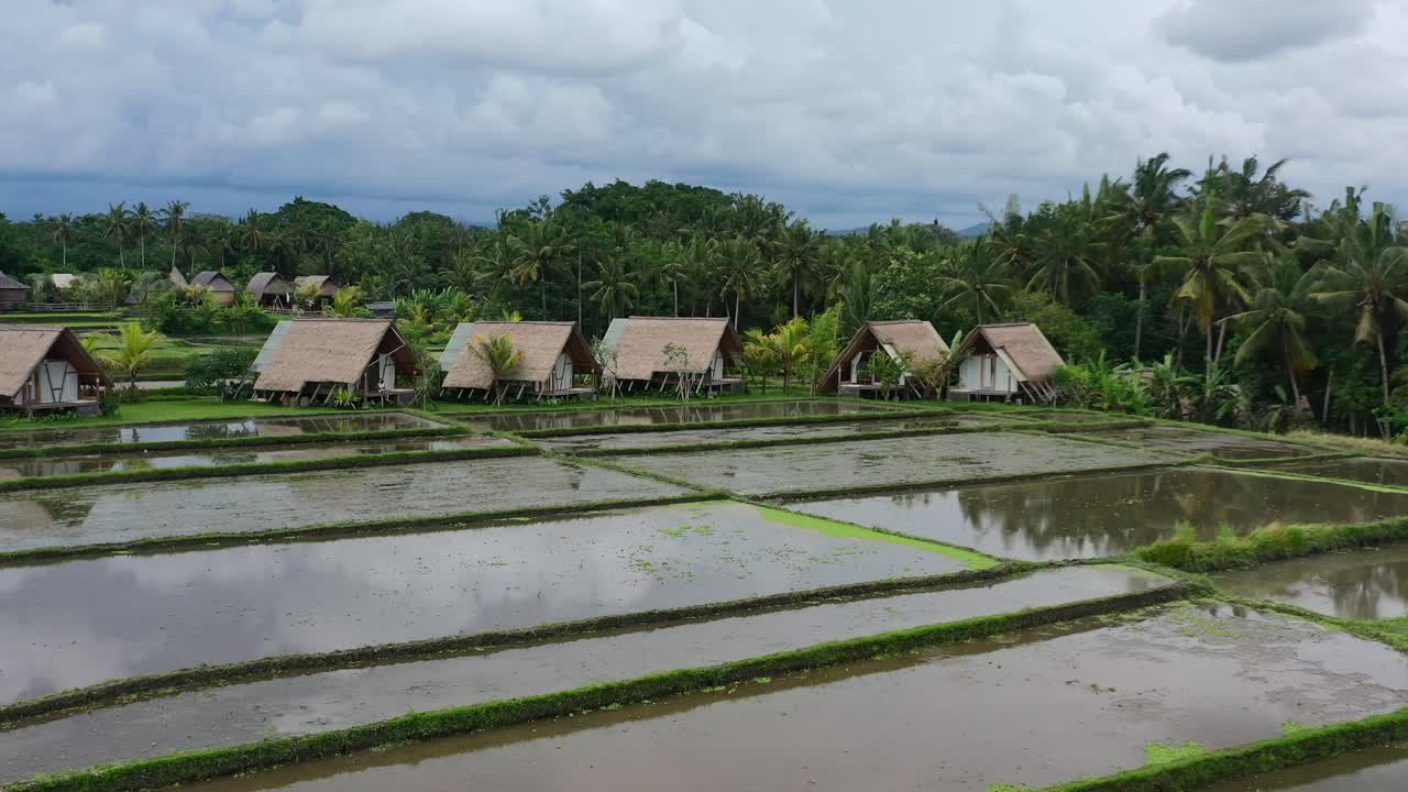 paisaje aéreo de campos de arroz inundados después de la cosecha con vistas a cabañas de paja locales en ubud bali