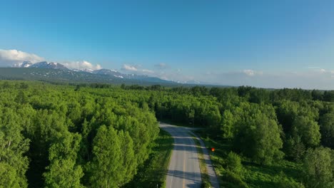 an empty road in dense thicket in anchorage, alaska