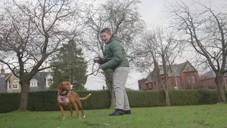 young boy trains his dog using positive reinforcement and playful interactions