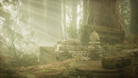 ruinas viejas de la antigua ciudad en el bosque de pinos