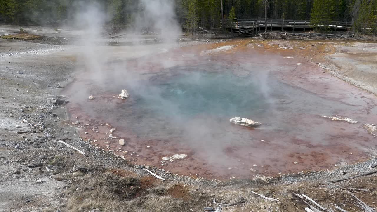 Hot Spring In Yellowstone National Park Free Stock Video Footage Download  Clips